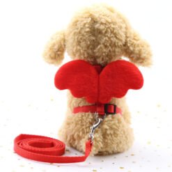 Cute Angel Pet Dog Leashes - Red, M