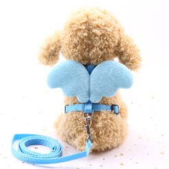 Cute Angel Pet Dog Leashes - Blue, S