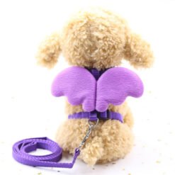 Cute Angel Pet Dog Leashes - Purple, S
