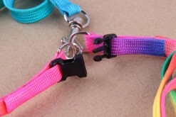 Alternative view of Leashes colorful leashes