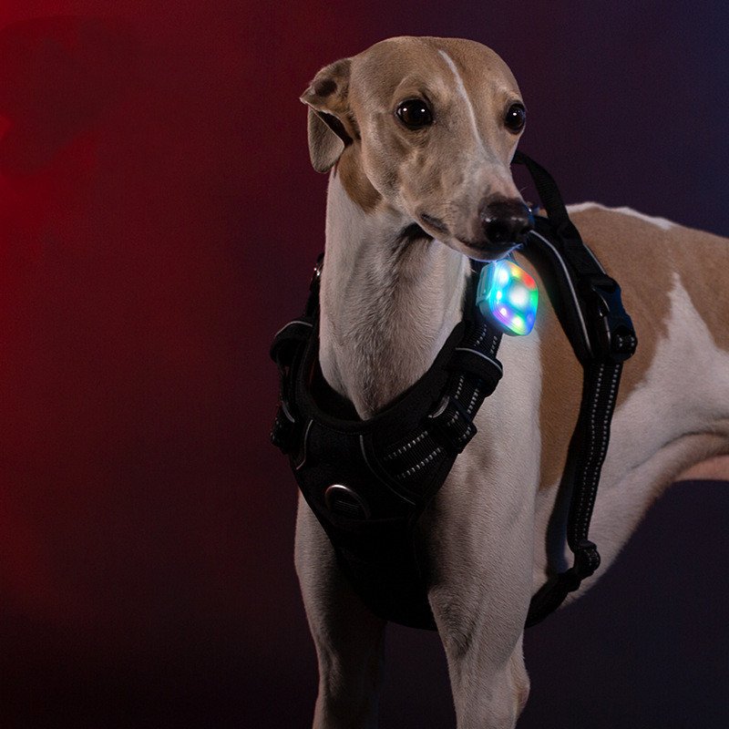 Pet Dog LED Navigation Light Colorful Waterproof Wireless Chargable Lithium Battery - Image 8