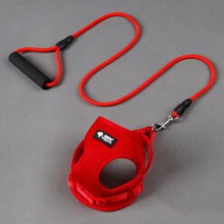 Dog leash dog leash dog collar - Red, Large