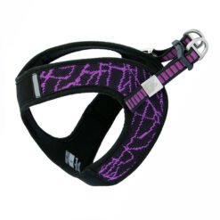 New pet chest strap V8 comfortable chest back