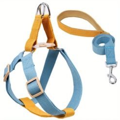 Dog Harness And Leash No Pull Nylon Pet Leashes For Small Dogs French Bulldog Chihuahua Lead Leash And Collar Set For Yorkies - M Blue