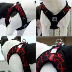 Alternative view of New pet chest strap V8 comfortable chest back