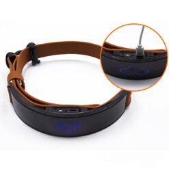 Alternative view of LED Display Collar Dog Harness