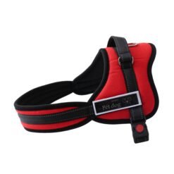 Medium And Large Pet Leash Dog Chest Harness, Outdoor Anti-lost Pet Supplies - Red, XL