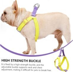Alternative view of Dog Harness And Leash No Pull Nylon Pet Leashes For Small Dogs French Bulldog Chihuahua Lead Leash And Collar Set For Yorkies