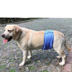 Male Dog Restraint Courtesy Belt Pet Supplie Washable Sanitary Diapers
