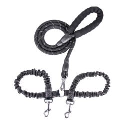 Dogs With One Tow Two Leashes Pets Double Heads