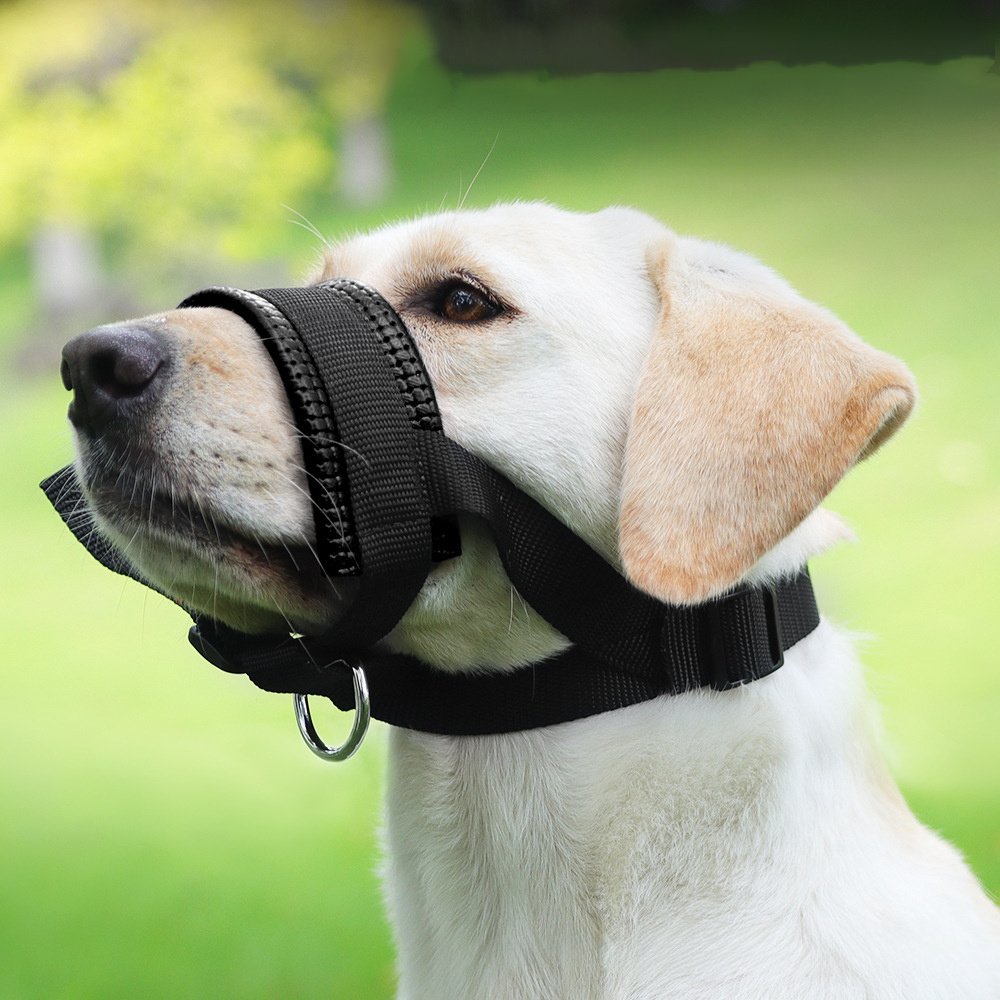 Dog Mouth Muzzle Anti Bark Dog Collar Breathable Dog Training Tool Nylon Muzzle Set With Stripes Summer Pet Leashes - Image 7