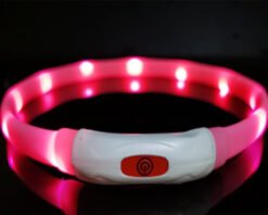 Alternative view of Dog Silicone Luminous Collar LED