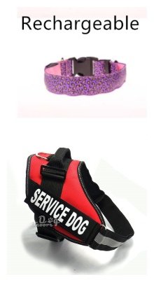 LED Dog Collar Safety Adjustable Nylon Leopard Pet Collar - Pink RechargeableANDRed, MandM