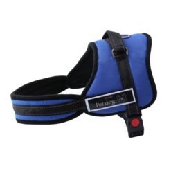 Medium And Large Pet Leash Dog Chest Harness, Outdoor Anti-lost Pet Supplies - Blue, XL
