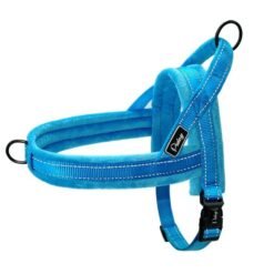 No Pull Dog Harness Leash Large Dog Pet Vest Padded Strap - Blue, XXS