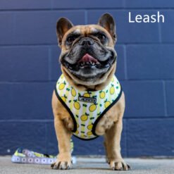 Breathable Mesh Lemon Pattern Printed Pull Rope - Leash, S