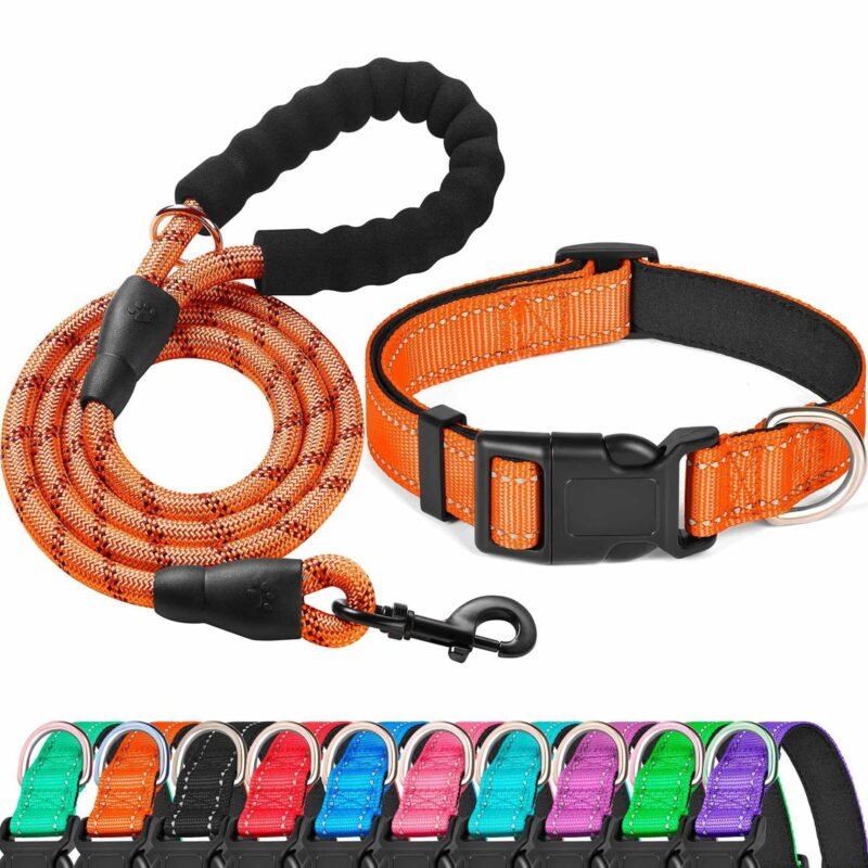 Collars & Leashes